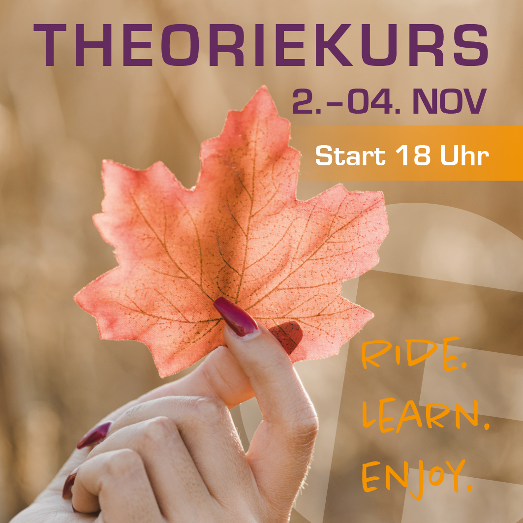 Theorie Kurs
